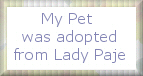 Adopt Your Pet Here